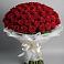 Букет 101 Красная роза Блэк Мэджик в Старобачатах
