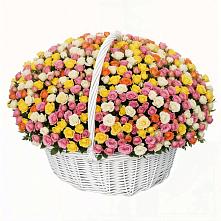 Премиум букет из: Розы в Старобачатах