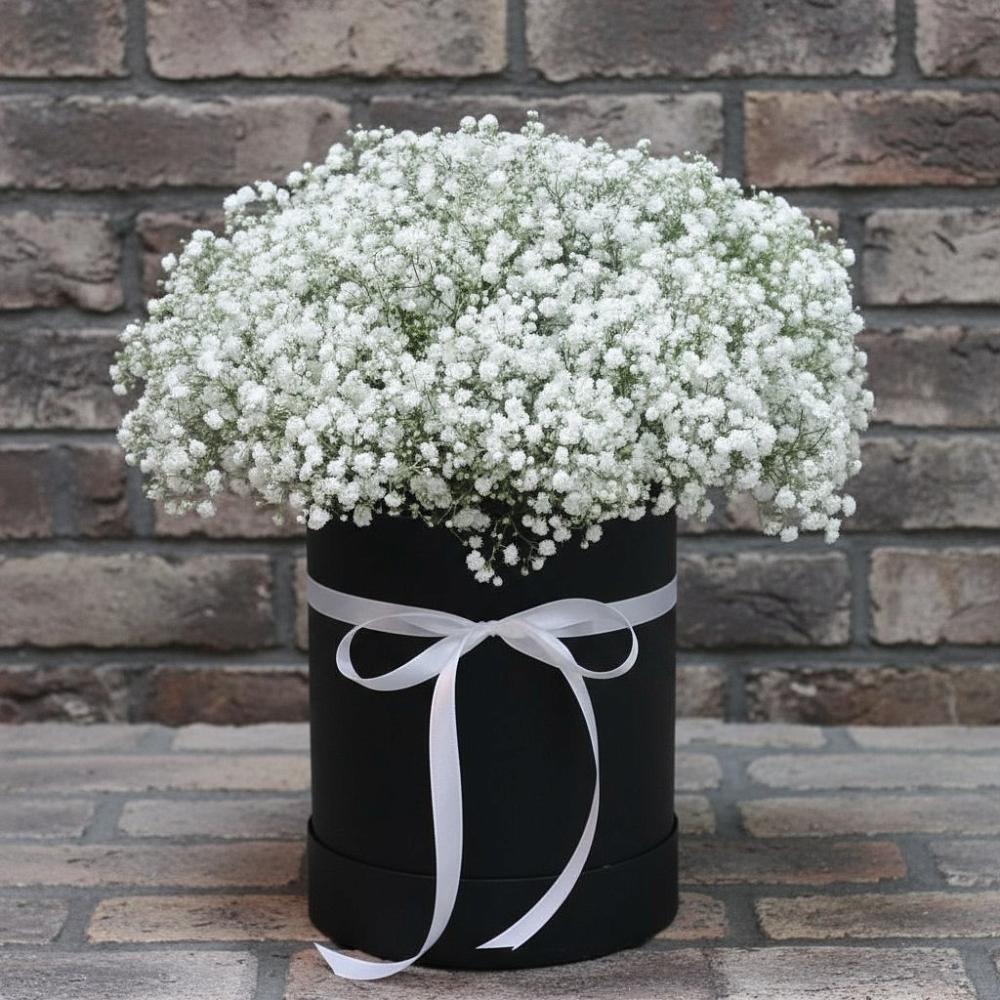 Цветочная композиция из Гипсофила в шляпной коробке в Старобачатах