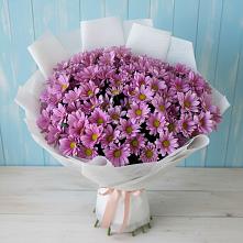 Букет цветов из:  Хризантемы в Старобачатах