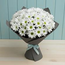 Букет цветов из:  Хризантемы в Старобачатах