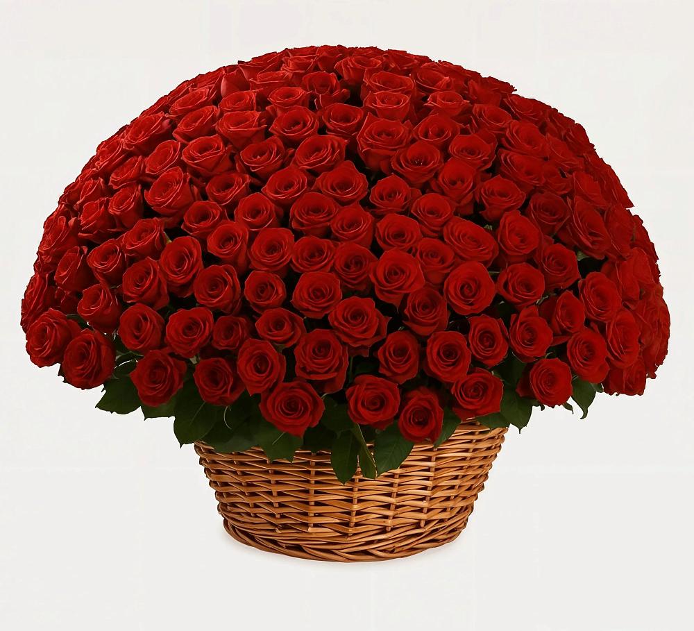 Премиум букет из: Розы в Старобачатах