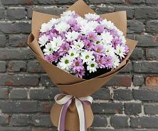 Букет цветов из:  Хризантемы в Старобачатах