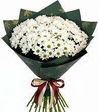 Букет цветов из:  Хризантемы #REPLACE_PRED# Старобачатах