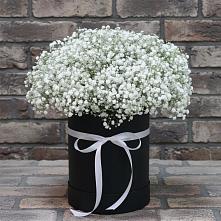 Цветочная композиция из Гипсофила в шляпной коробке в Старобачатах
