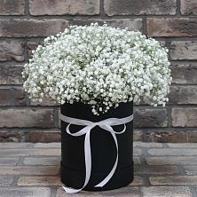 Цветочная композиция из Гипсофила в шляпной коробке в Старобачатах