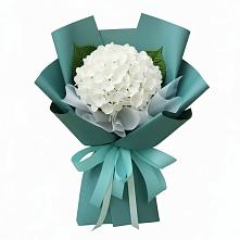 Букет цветов из:  Гортензия #REPLACE_PRED# Старобачатах